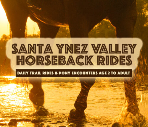 Santa Ynez Valley Horseback Rides 