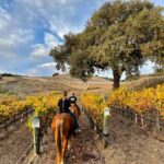 horseback-riding-in-vineyard