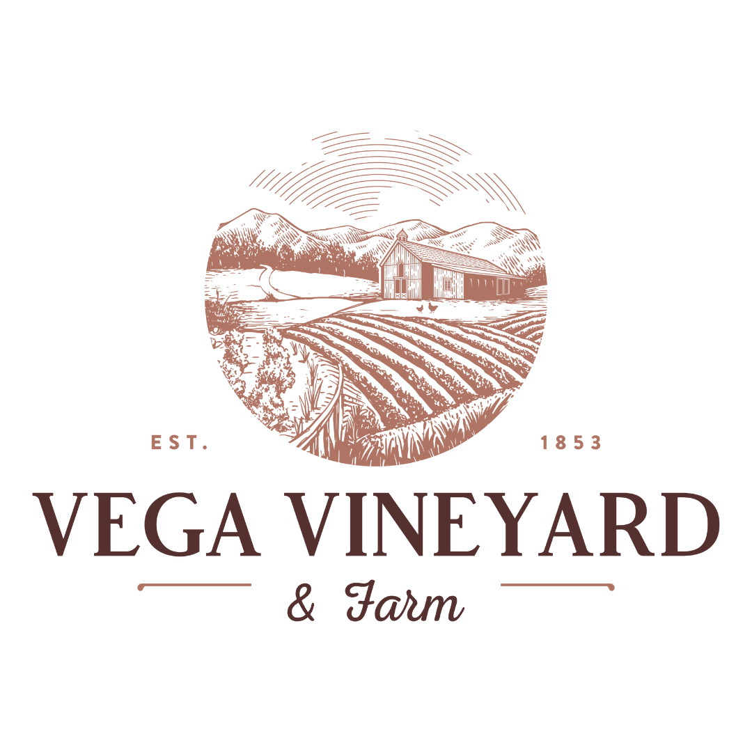 Vega Vineyard and Farm